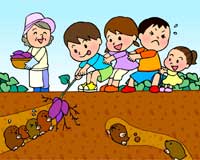 平成20年9月26日号「モグラとの芋掘り競争」