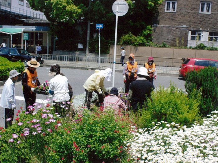 NPO法人 花と緑のまちづくり 高槻景観園芸クラブの画像1
