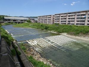 下井出堰の魚みちの画像