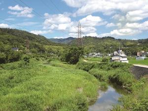 西之川原橋上流の画像