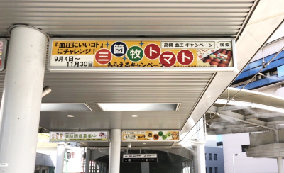 令和4年度人工デッキ写真