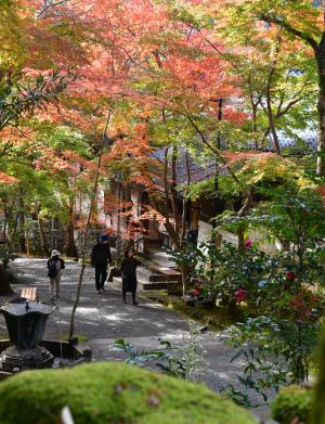 神峯山寺の境内紅葉