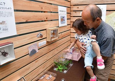 展示を観る来館者