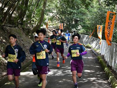 自然の中を駆け抜けるランナー