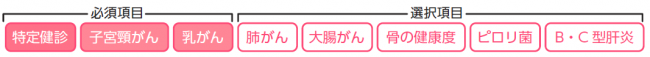 特定健診、子宮頸がん、乳がんは必須項目です。肺がん、大腸がん、骨の健康度、ピロリ菌、B・C型肝炎は選択項目です。