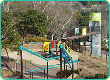 （写真）摂津峡公園・桜広場