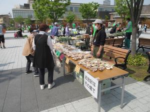 siitake