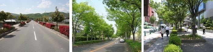 街路の景観の画像