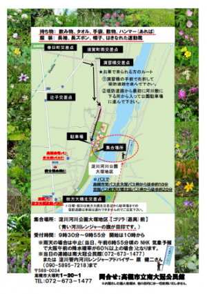 ちらし裏 淀川魅力発見春編
