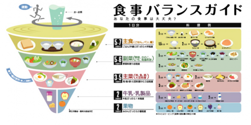 食事バランスガイド