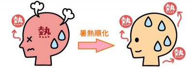 暑熱順化