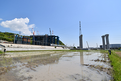 五領地区の水田