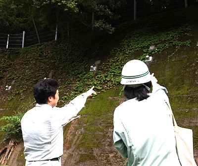 砂防施設を確認する職員