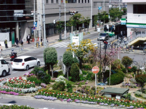 NPO法人 花と緑のまちづくり 高槻景観園芸クラブの画像2