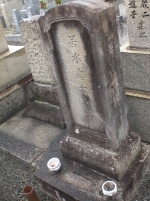 入江若水