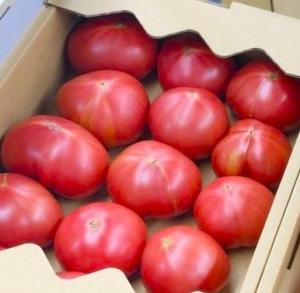 三箇牧トマトの画像