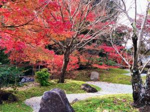 紅葉
