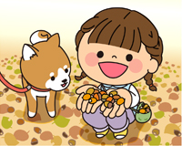 高槻市ウェブマガジントップ画像「見て！ドングリがいっぱい」