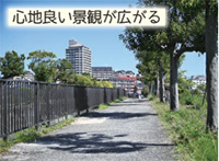 土室川分水路緑道「心地良い景観が広がる」