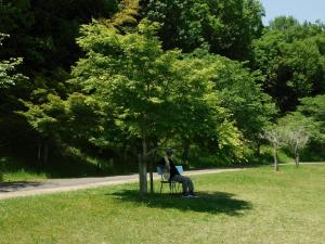 芥川緑地　木陰のベンチ