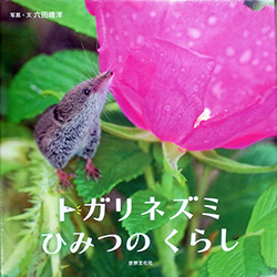 『トガリネズミひみつのくらし』表紙