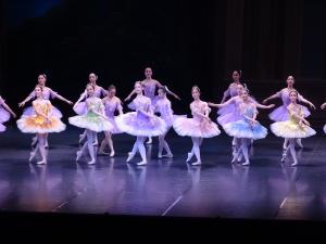 バレエの画像３