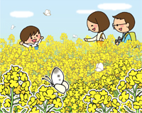 高槻市ウェブマガジントップ画像「菜の花畑で春を満喫」