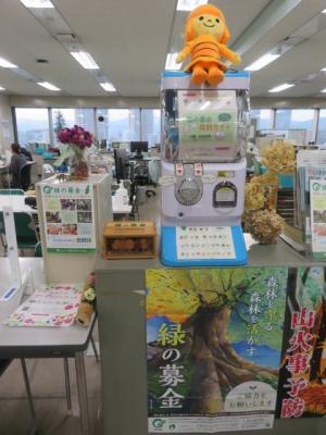 ワークショップ