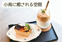 小鳥遊カフェ「小鳥に癒される空間」