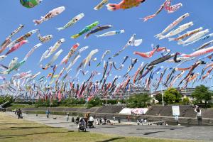 こいのぼりフェスタ1000でたくさんのこいのぼりが風になびく様子