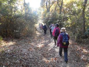 市民ハイキングで歩く人たち