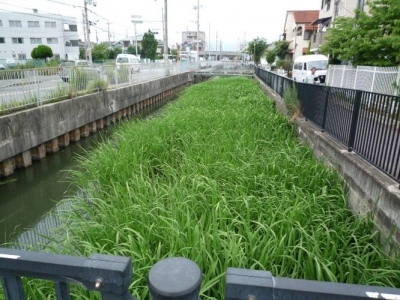 施工前の水路の画像