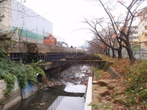 水路改修前の写真