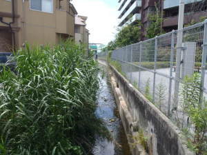 施工前（草と土砂体積）の写真