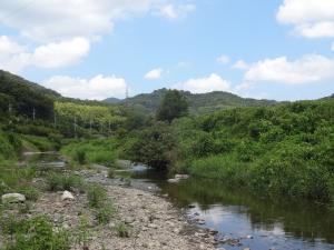 山林がちかい西之川原周辺の芥川