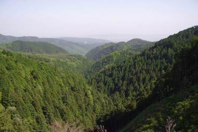 高槻の山の景色