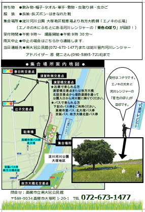 R8南冠公バッタ裏