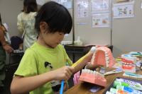 2025年の健康・食育フェア　歯磨きの模型を触る子ども