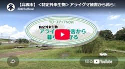 クローズアップNOW「<特定外来生物>アライグマ被害から暮らしを守る」動画画面