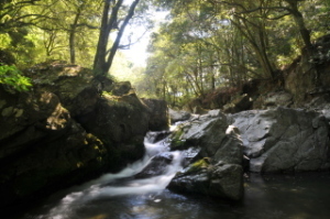 摂津峡の画像