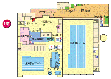 プール1階図面