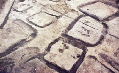 1972年に発見された東部方形周溝墓群の一角の画像