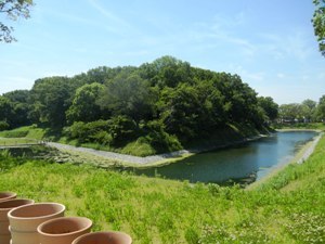 内濠の風景写真です