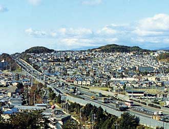 左側・岡本山古墳、右側・弁天山古墳の画像