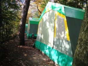 第1キャンプ場テント周辺の写真
