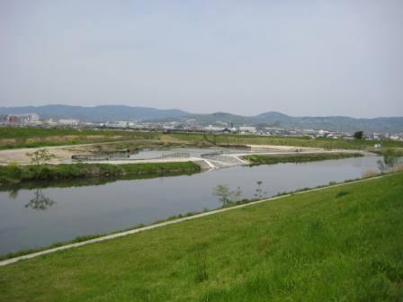 津之江公園の写真