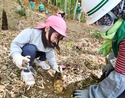 タケノコを掘る園児と里山ネットワークのメンバー