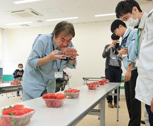 イチゴの香りをかぐ審査員