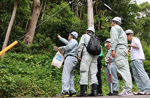 斜面を目視点検する職員
