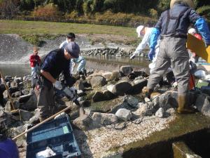 石の魚道補修工事